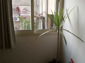 New Cairo Heart Hotel