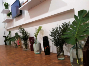 Family Home Chiang Mai - Lino House