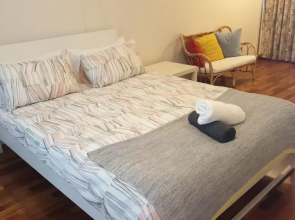 Entire of spacious neat Apartment in the heart of city!