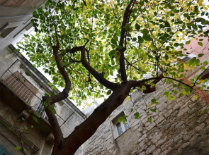 Suite Home Trani Old Town