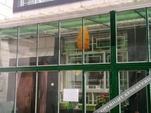 The Tree Lhasa Hostel