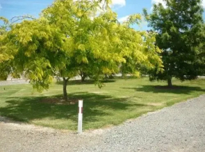 Paparoa Motor Camp