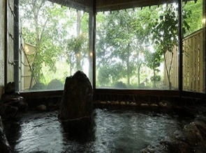 Sarugakyo Onsen Hatago Shinden