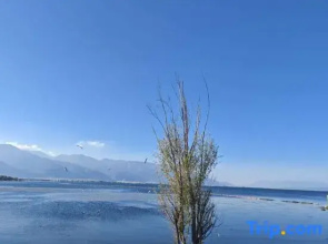 Erhai Encounter • Song-style Design Guesthouse Caicun Wharf, Erhai Lake, Dali