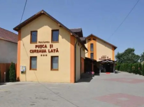 Pusca Si Cureaua Lata