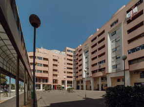 Amazing Studio by Homing