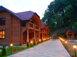 Oasis Karpat