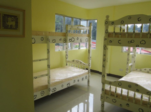 DDD Habitat Tuguegarao