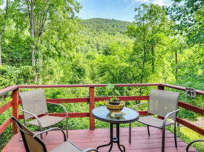 Affordable, Artsy, Unique! Blue Ridge Mtn-view Gem