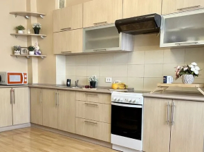 Apartments Yusinn on Dusi Kovalchuk str., 250