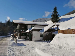 Apartment in Dienten Near Gabuhel Ski Lift