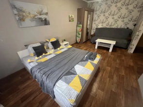 Apartments per day on Nekrasova street, 1