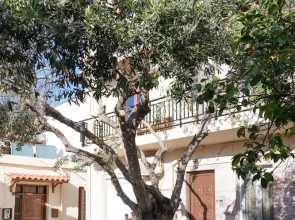 Venetian Owl, 1min To Lighthouse