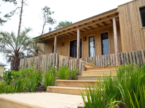 Casa Flor - Adults Only