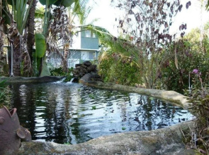 The Rainbow Plantation Bed and Breakfast