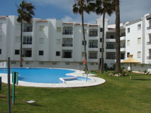 Palmeras 8 Menyber
