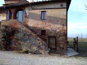 Violino