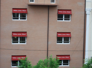 White Lotus Hotel