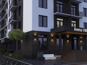 Village apartments Polyana