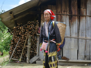 Sapa Homestay Trekking Tour For Backpackers