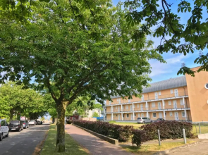 Kurparkcarree - Ferienwohnung "Amber"