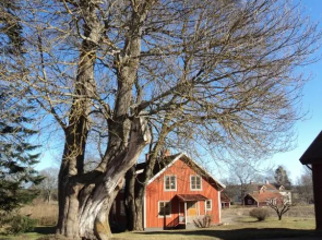 Eneby Gård Apartments