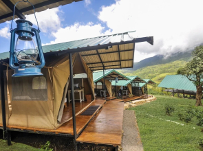 Wild Glamping