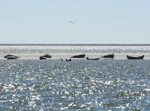 Schleswig-Holstein Whg 05 DG