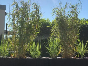 Apartment Oase- Kaiserslautern