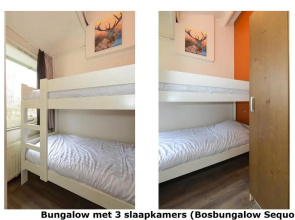 Vakantiepark Westerbergen
