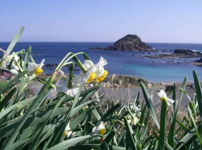 Suzuki Hotel Shimoda