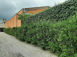 Apartamento aconchegante em Tijucas kit 11