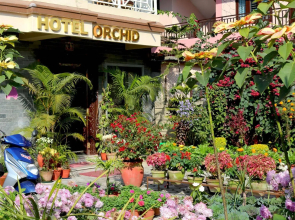 Hotel Orchid