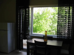 Apartment Nedyalkov