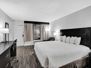 The Harrison Hotel Downtown Hollywood