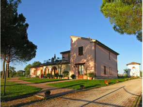 Olive apt With Shared Pool