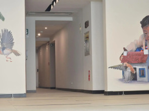 Arawi Miraflores Express