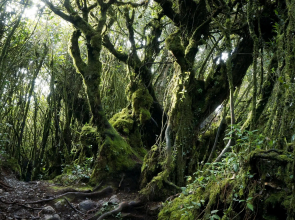 Cameron Hills Apartment