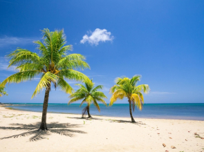 Lawson Rock Lionfish 209