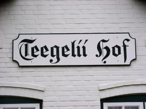 Rote Syltrose Teegelii Hof