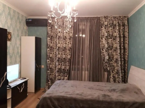 1 room hotel style apartment