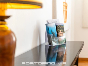 Your Window on Portofino