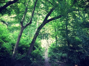 Luxe vakantiehuis Chatododo