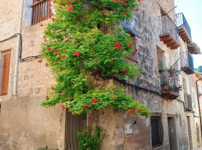 Apartamento Burgués