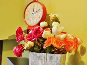 Гостиница Red Fox Guesthouse