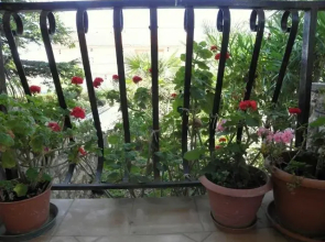 Cozy three bedroom holiday home in Barbat