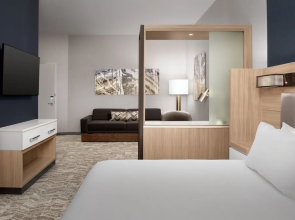 Springhill Suites By Marriott Fayetteville I 95