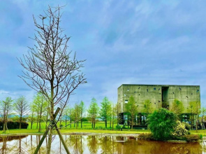 Rice Field Homestay