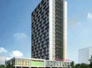Wego Theme Apartment (Foshan Zumiao Branch)