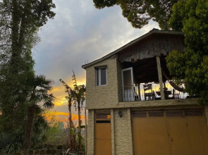 Apartment Green House